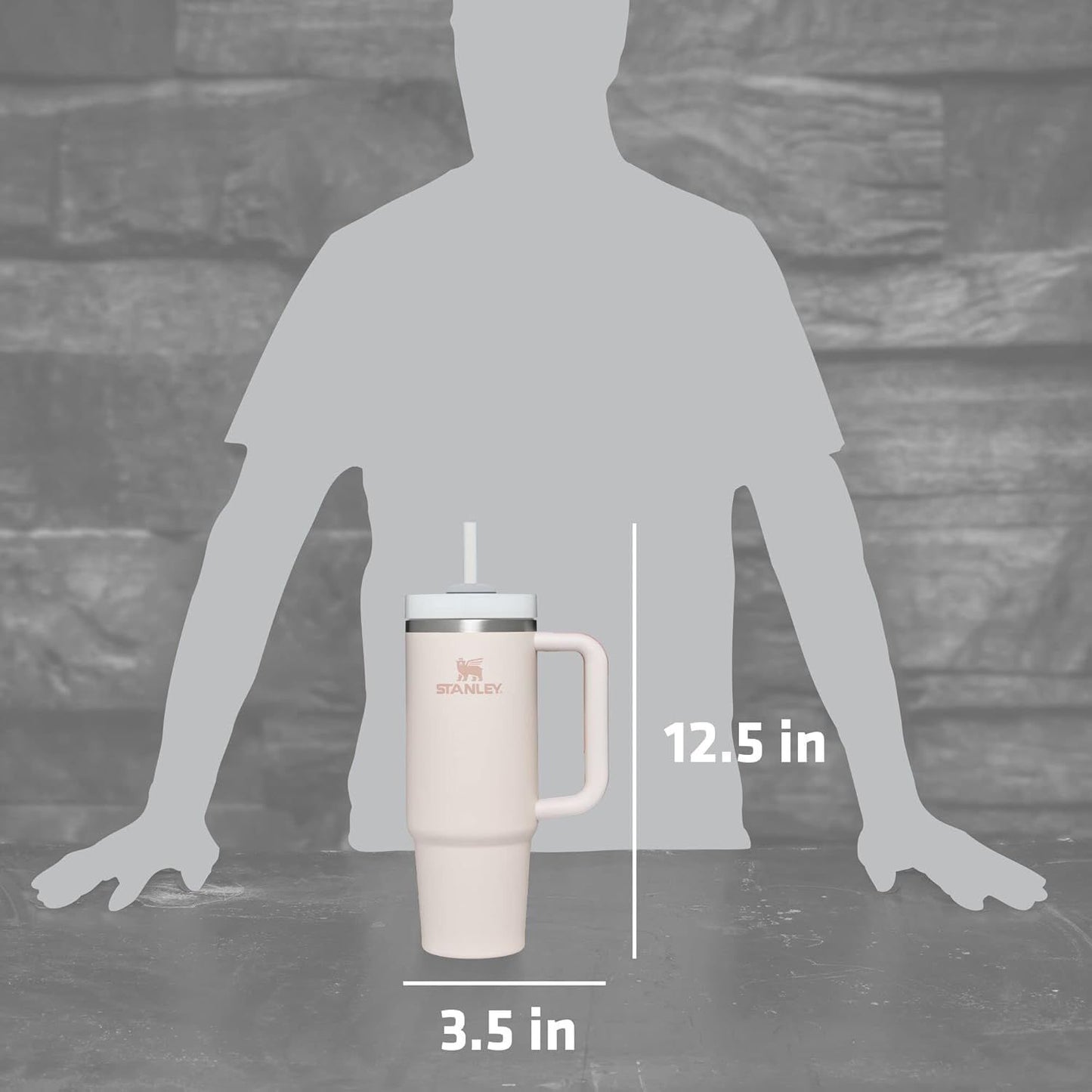 STANLEY TUMBLER